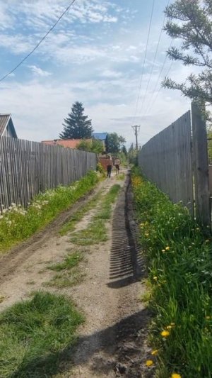 Утренняя зарядка дедушки и внука