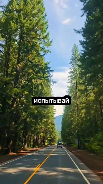 Не паникуй, не суетись, не бегай -Бог сам расставит, как тебе нужно. смотреть онлайн