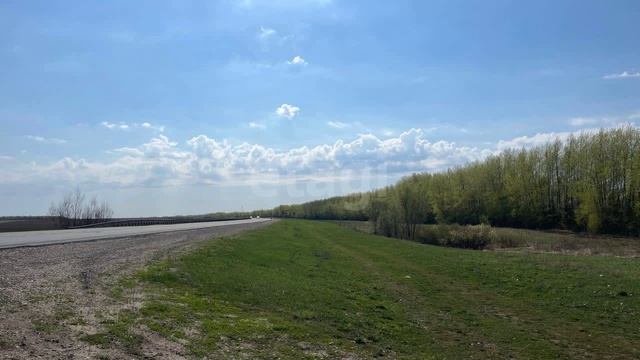 4837598 смотреть онлайн