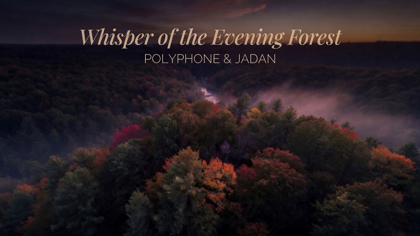 POLYPHONE & JADAN 🎧 Whisper of the Evening Forest смотреть онлайн