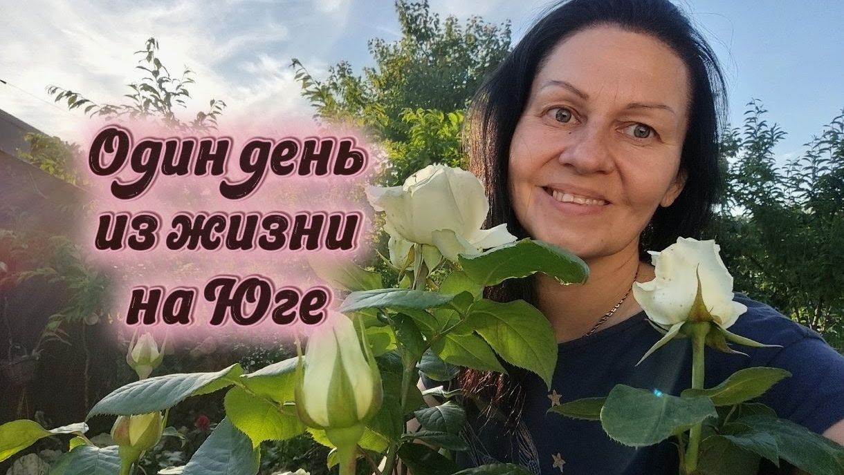 Мой идеальный день в южном саду: розы, ягоды, приятные  садовые хлопоты