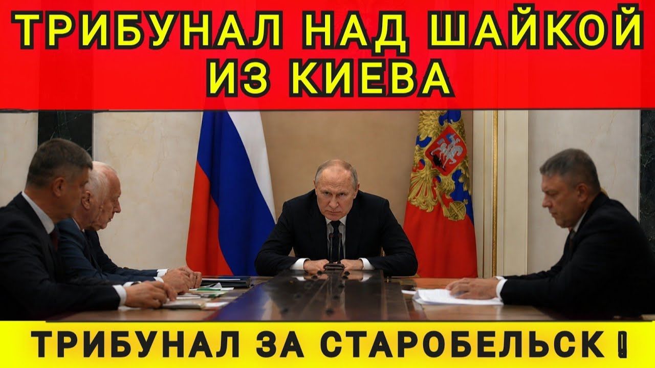 НАЧИНАЕТСЯ ТРИБУНАЛ ❗КОЛОБОК ☺️ колобок из одессы ❗ одесский бродяга смотреть онлайн