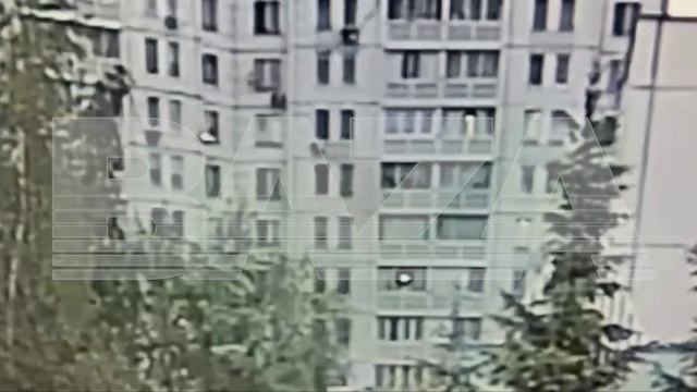 Москвич вытолкнул в окно свою подругу на северо-востоке столицы во время вечеринки — девушка погибла