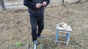 Прививки яблонь в этом году