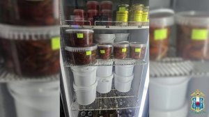 В Ростовской области правоохранители в ходе рейдов изъяли свыше 2 тонн нелегальной рыбной продукции