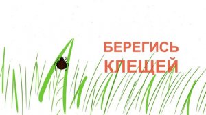 блок 4 (1)
