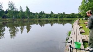 Карповая рыбалка на 1-м Га водоёме РК «Фишка Петряиха»