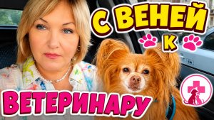 Мои кулинарные фантазии 😁Венечка приболел 🐶Закупка полезных продуктов 🥬