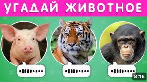 Угадай животное