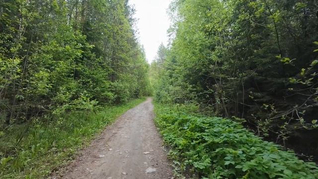 Байк 2026.05.30-31.mp4 смотреть онлайн