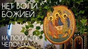 Нет воли Божией на погибель человека. Прот. Андрей Овчинников.