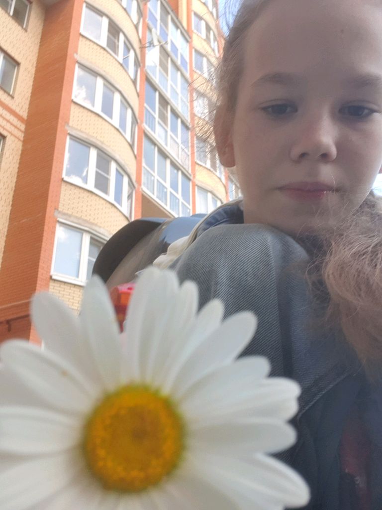 палатка для басиков