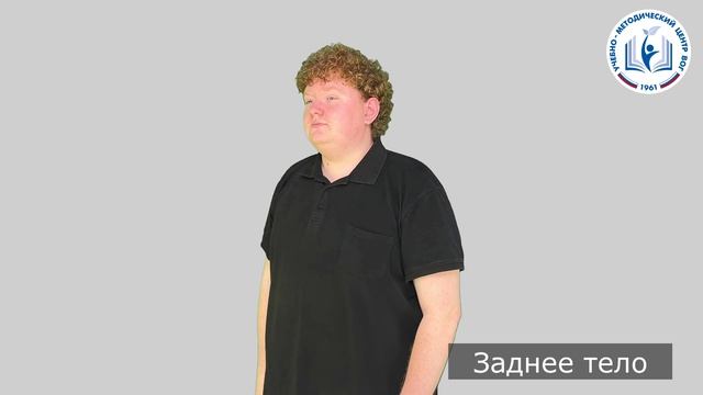 2 - Запреты и тело - Заднее тело
