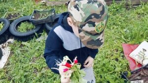 02-06-2026 собираем урожай редиса 🤣