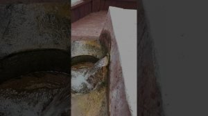 Неожиданная находка на пути в Нижний Новгород: Святой источник и заброшенный храм
