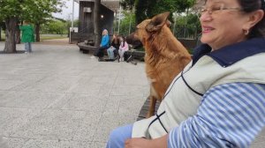 Мухтар от нас никуда
