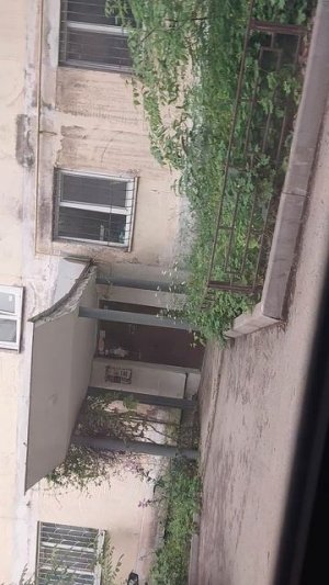 приехал за катом 🐱