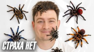 ЕСЛИ БЫ СТРАХА НЕ СУЩЕСТВОВАЛО
