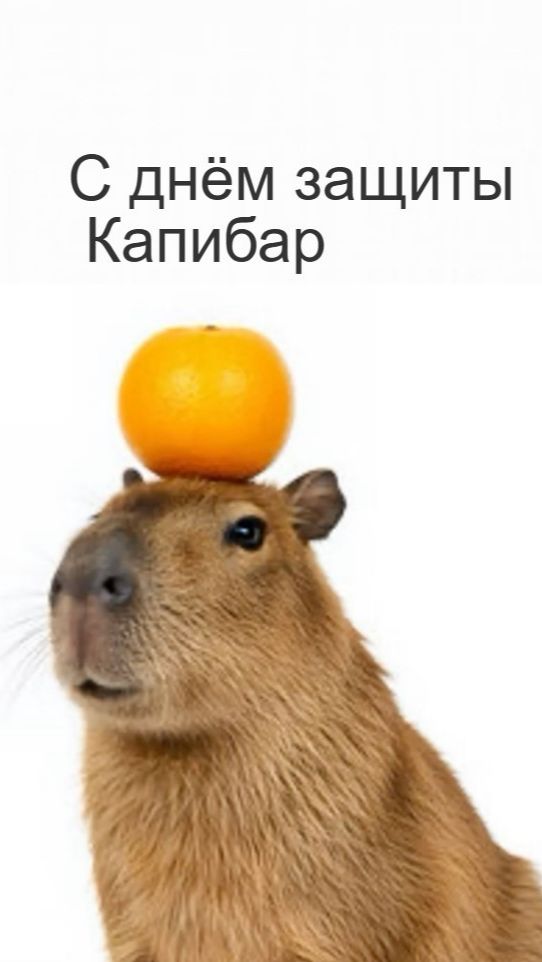 С днём защиты Капибар смотреть онлайн