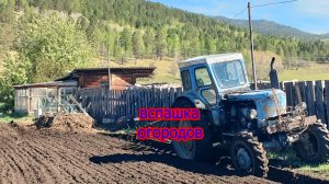Пашем огороды.