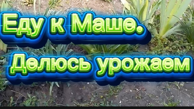 Еду к Маше..Делюсь урожаем кабачков. Был град. смотреть онлайн