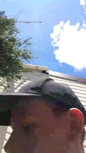 02-06-2026