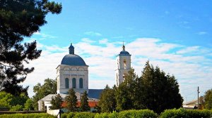 Посвящается Касторному