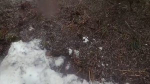 Сусанин страйкбол_горы_Диверсанты 18
