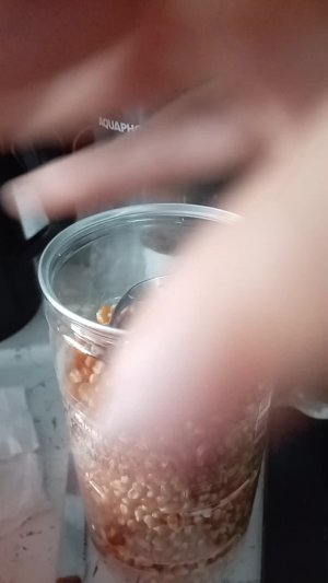 Попкорн