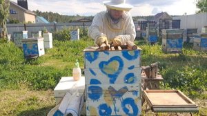 Когда делать отводки? В начале мая? В середине мая? В начале июня? Или...?