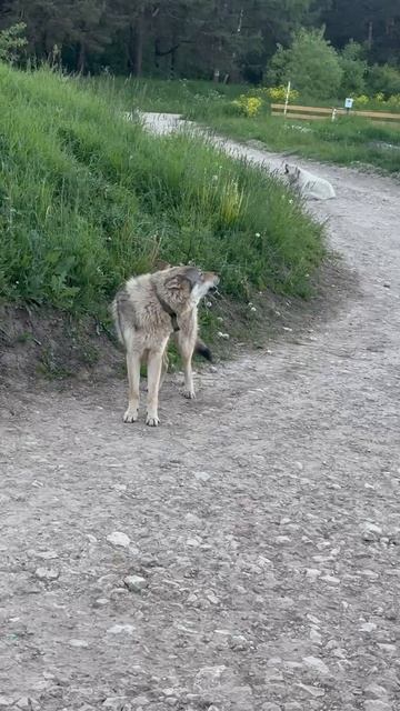 Нам очень страшно