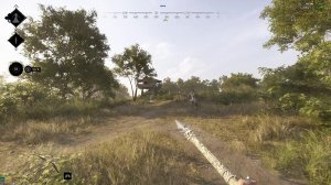 Охотница Hunt: Showdown 1896