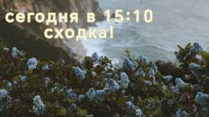 🌺сегодня сходка🌱//🛍код в комм🌿