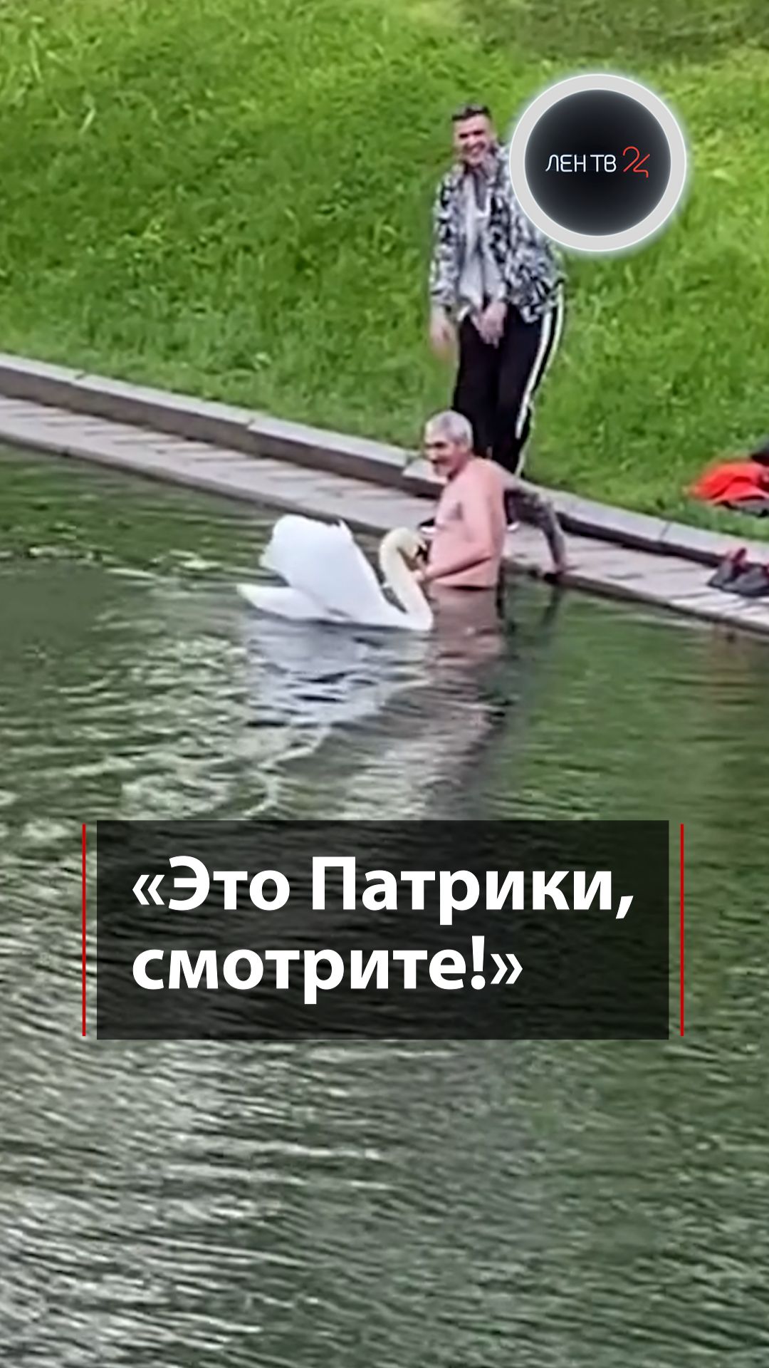 Искупался в Патриарших прудах