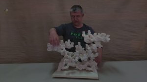 ДФР-17 Декорация для морского аквариума из биокерамики.