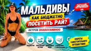 DHARAVANDHOO - БЮДЖЕТНЫЕ МАЛЬДИВЫ с мантами. Цены и честный обзор