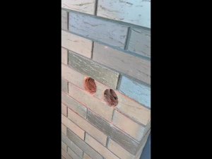 Делаем новую электропроводку в частном доме, электропроводка открытая по потолку в гофре. (1 день)