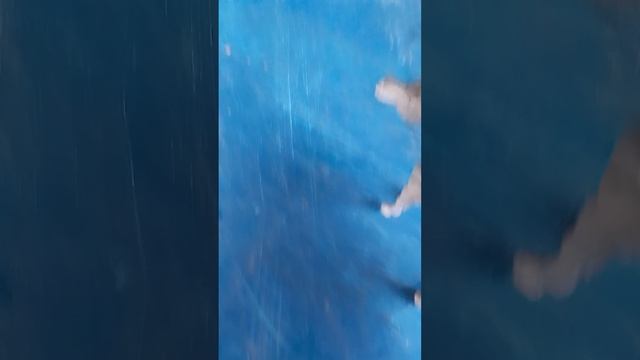 мрачная судьба 6