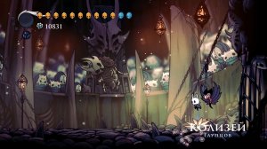 Колизей глупцов в Hollow Knight