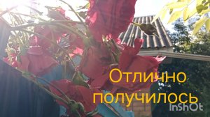 С отличным настроением из Ейска ☀️ Мы старались, отлично получилось...