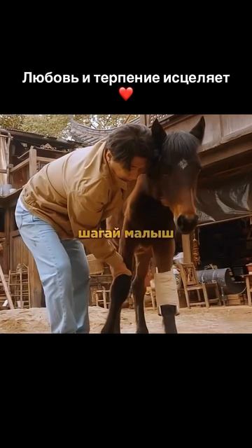 КУНГ-ФУ ЖЕРЕБЕЦ (2023) смотреть онлайн