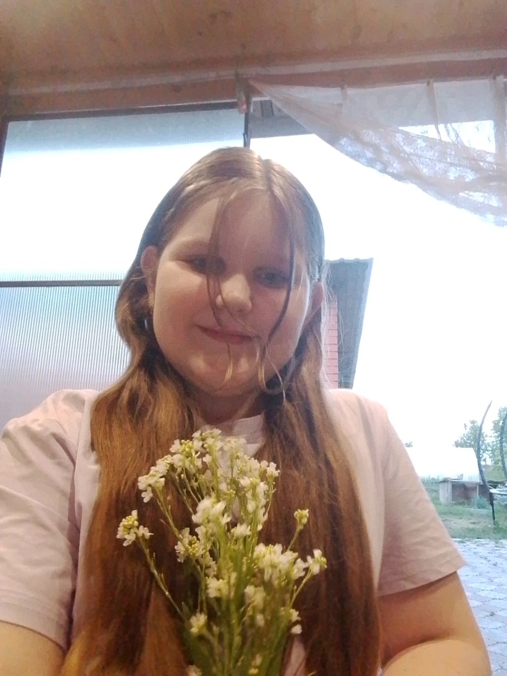 пр смотреть онлайн