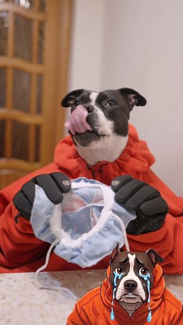 У Доры есть талант? 🐶