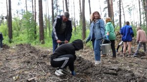 2 тысячи сеянцев сосны высадили на одном из участков городских лесов Бийска (Бийское телевидение)
