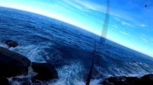 Рыбалка на саргоса: я разбил лагерь в пещере у моря и ловил рыбу на простую наживку