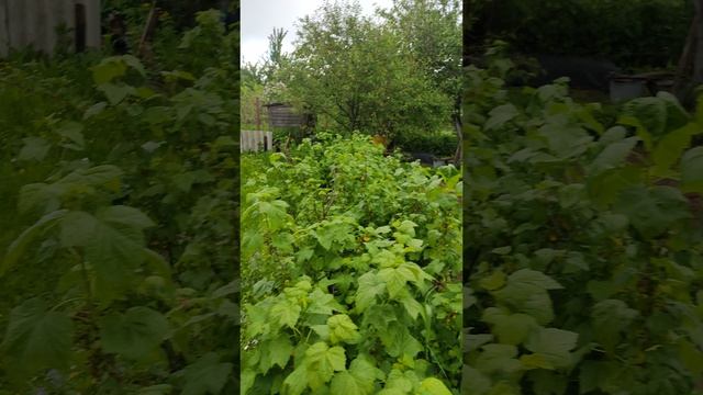 27-05-2026 Агротур в мае близится к завершению