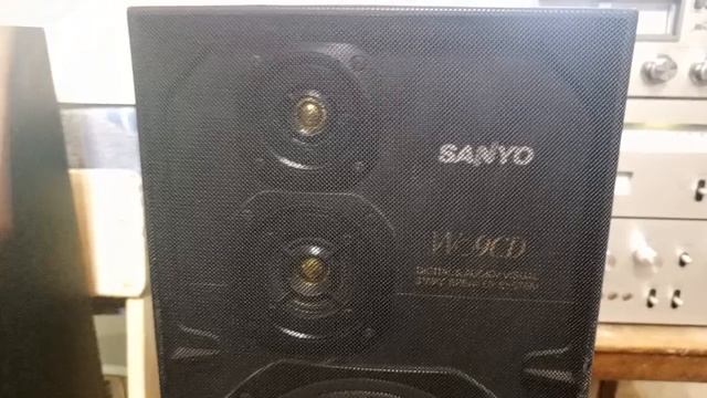 Sanyo DC-W09CD смотреть онлайн