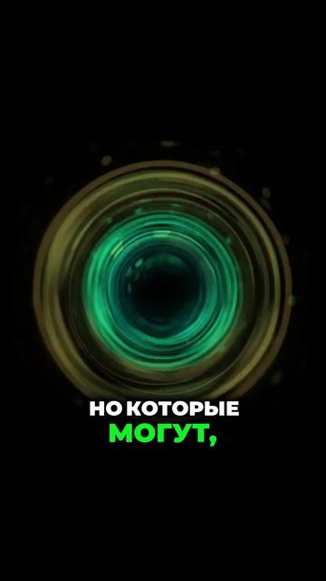 Как услышать голос из реальности внутри своего сна - Игорь Лосев