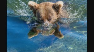 Об итогах World Photo Annual 2025
