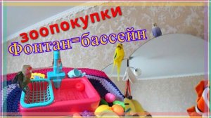 Новый бассейн с фонтаном для попугая! Обзор зоопокупок для волнистых попугаев. Покупки для попугая!